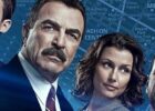 Blue Bloods